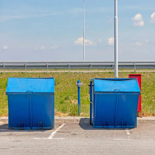 Dumpster rentals reduce the need for multiple trips to dump sites